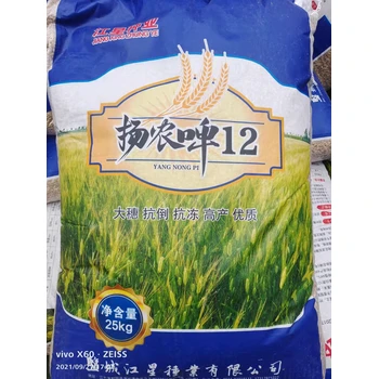 產(chǎn)量高的大田用種大麥種子標(biāo)準(zhǔn)以上我處批發(fā)