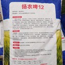 安全越冬產(chǎn)量高大麥種子發(fā)芽率85以上我了解