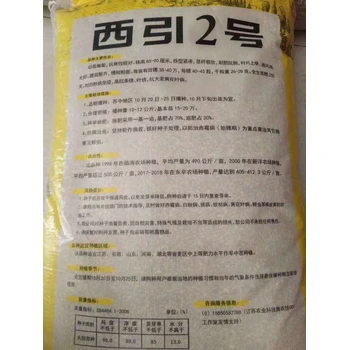 新品種六棱大麥種子發(fā)芽率很高綠之洲花卉發(fā)貨