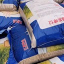 大麥種籽做綠肥生長(cháng)期短我處批發(fā)