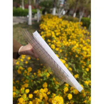 蘭代爾廠家山東濰坊昌邑陽(yáng)光板PC中空板車間、倉(cāng)庫(kù)、住宅、車棚