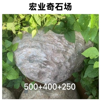 福建泉州假山石批發(fā)/泉州泰山石廠家/泉州泰山石多少錢一噸