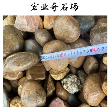 韶關(guān)鵝卵石廠家/廣東大型鵝卵石批發(fā)基地/韶關(guān)鵝卵石產(chǎn)地直發(fā)
