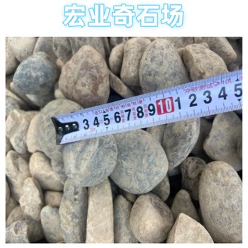 韶關(guān)鵝卵石多少錢一噸/廣東大型鵝卵石批發(fā)基地/韶關(guān)鵝卵石廠家