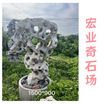 清遠太湖石石/廣東太湖石石批發/清遠太湖石
