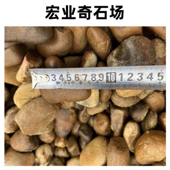 廣東鵝卵石大量現貨/佛山散裝鵝卵石多少錢一噸