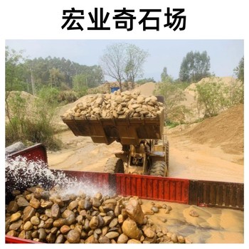 廣東肇慶鵝卵石廠家/肇慶鵝卵石多少錢(qián)一噸/肇慶鵝卵石批發(fā)基地