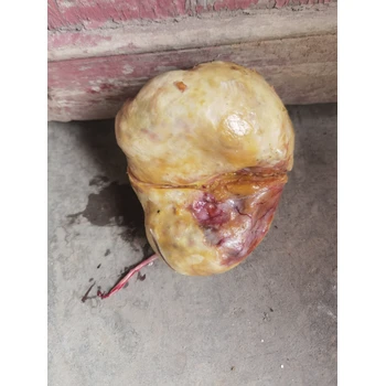 克孜勒蘇柯爾克孜哪里收購畫面奇石聯(lián)電話—私下上門收購古玩