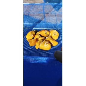 彭水哪里收購青銅器聯(lián)電話(huà)—私下上門(mén)收購古玩