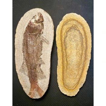 江北李苦禪字畫正規(guī)免費鑒定個人收購—快速變現(xiàn)