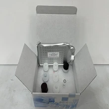 BS-8224豬干擾素-γ(INF-γ)ELISA試劑盒