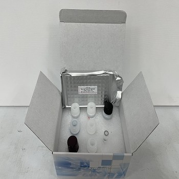 大鼠白介素12(IL-12P70)ELISA試劑盒的實驗原理