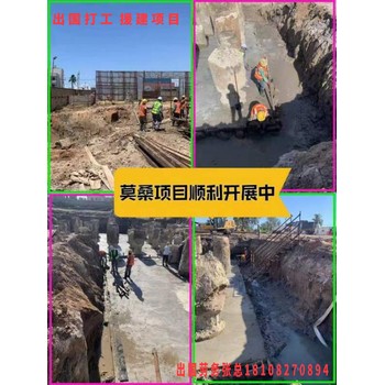 崇左新西蘭正規(guī)出國打工勞務(wù)公司開裝載機(jī)多少錢有無技術(shù)均可月薪2萬起