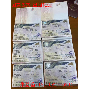 雙橋木工出國打工瓦工月薪2萬互贏共利
