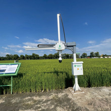 農(nóng)作物表型監(jiān)測機(jī)器人-賽通科技智慧農(nóng)業(yè)廠家圖片