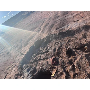 湖南長沙出國務(wù)工一年能賺多少錢