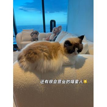 渝北出國(guó)勞務(wù)網(wǎng)網(wǎng)站