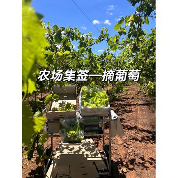 四川攀枝花境外勞務(wù)派遣年齡限制