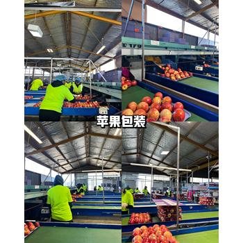 克拉瑪依出國(guó)勞務(wù)簽證怎么辦理手續(xù)