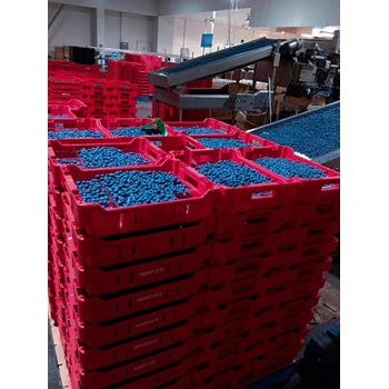 湖南永州出國務(wù)工哪個國家掙錢多