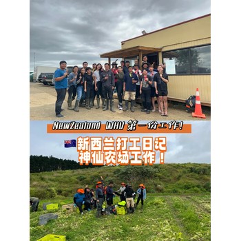河北滄州境外勞務(wù)派遣辦理流程