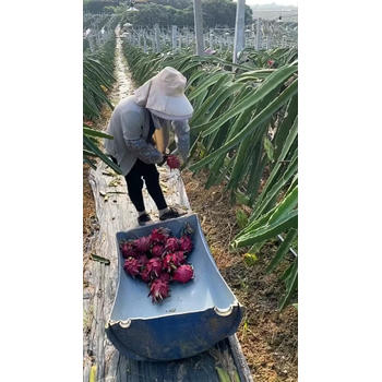 長寧出國打工