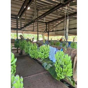 廣西賀州出國務(wù)工辦理流程