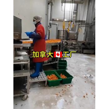 安徽黃山出國(guó)務(wù)工年齡限制