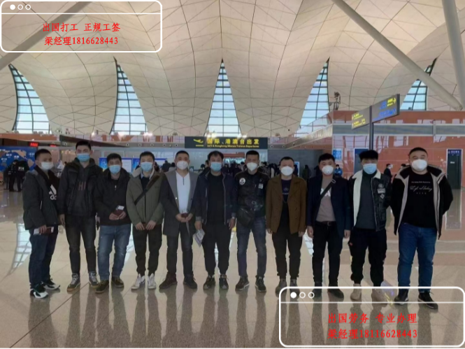 六安出國挖掘機木工量身匹配項目月薪2萬起