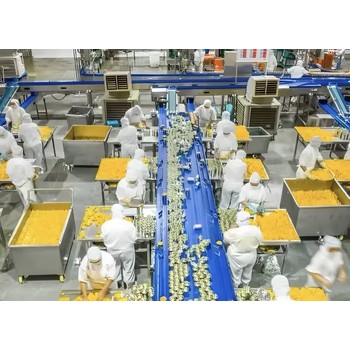 河北保定徐水海外打工哪家好