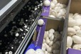 廣東廣州荔灣勞務派遣哪家好