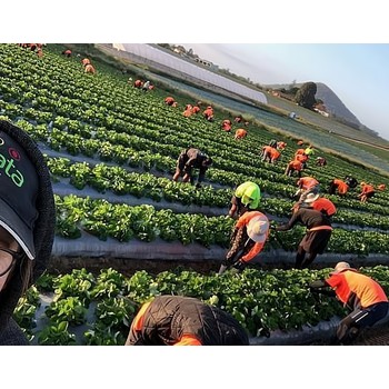 江蘇鹽城濱海出國打工哪個(gè)國家掙得多