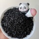 圖片_20250213171425