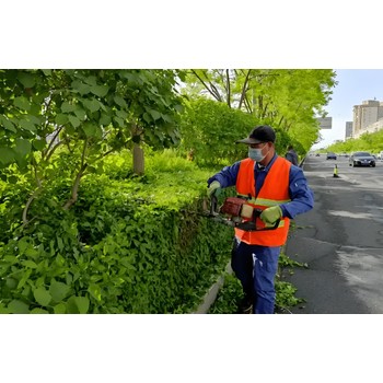 急招澳洲香港建筑工出國勞務(wù)年薪40-50萬保簽