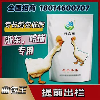曲包王（鵝鼓包），鵝使用快速長頭瘤鵝包催肥省飼料額腳加黃