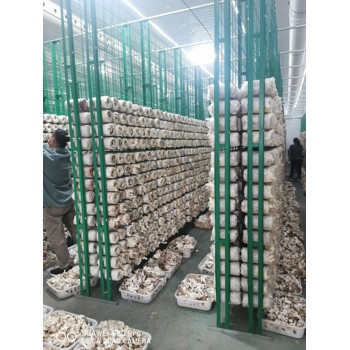 河北利榮食用菌網(wǎng)格架