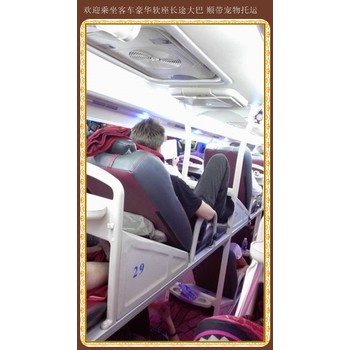 客車:煙臺到肇東汽車站客車咨詢