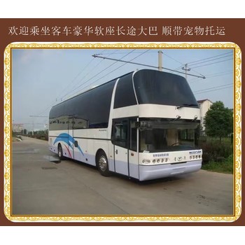 客車:煙臺到肇東汽車站客車咨詢