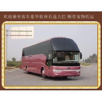 萊州到永城客運(yùn)班車上車價(jià)格多少