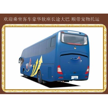 客車:東營(yíng)到項(xiàng)城汽車客車幾個(gè)小時(shí)能到