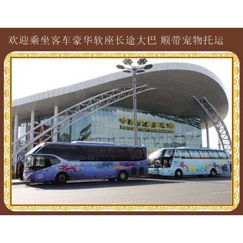 客車:東營(yíng)到項(xiàng)城汽車客車幾個(gè)小時(shí)能到