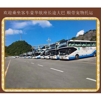 石島到襄陽大巴客車歡迎蒞臨