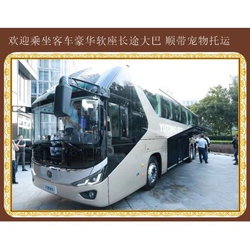 客車:煙臺到肇東汽車站客車咨詢