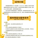 寵物健康護(hù)理員證書怎么考？在哪里報名？