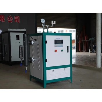 重慶楊家生物質(zhì)鍋爐源頭工廠樣式：其它