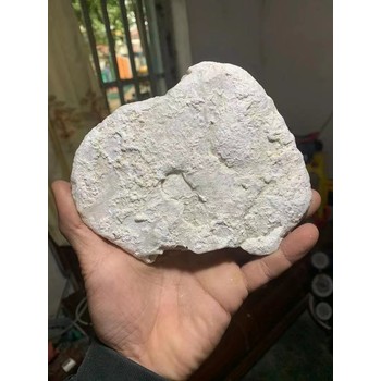 福州龍涎香鑒定估價交易中心