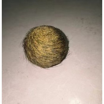 廈門豬寶豬砂牛寶鑒定交易中心