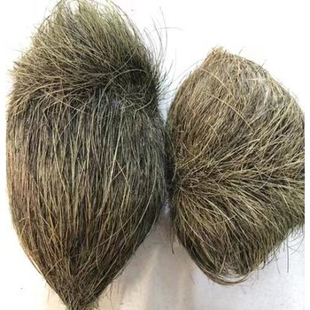 漳州鑒定豬寶豬砂羊寶估價交易中心