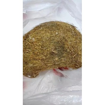福州雞寶鴨寶鵝寶羊?qū)氳b定估價(jià)交易機(jī)構(gòu)