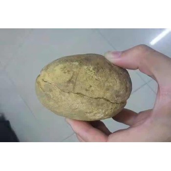 龍巖馬寶騾寶狗寶鑒定估價交易